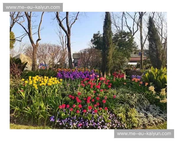 圣保罗的雨与郁金香的叹息：重回2014，那场极致压抑后的宿命对决